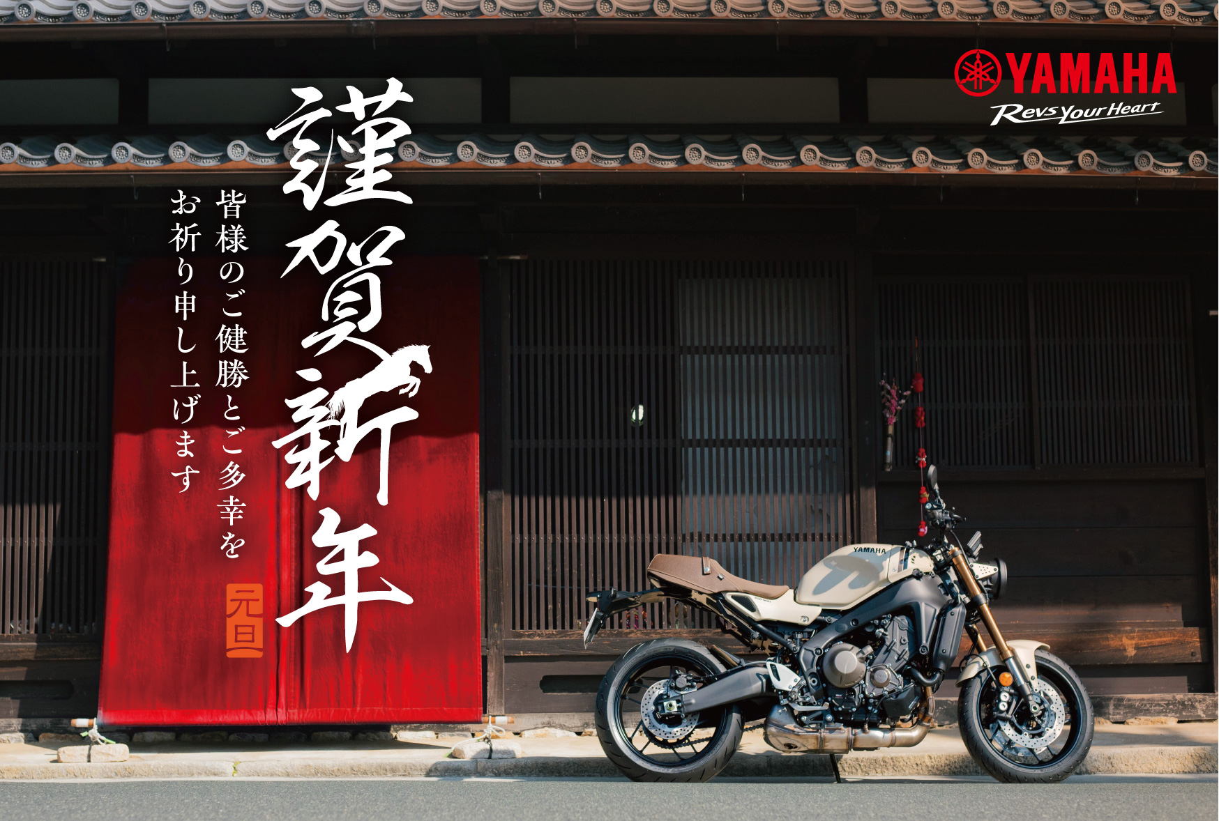 �{�����ʏ�c�Ƃ������܂�